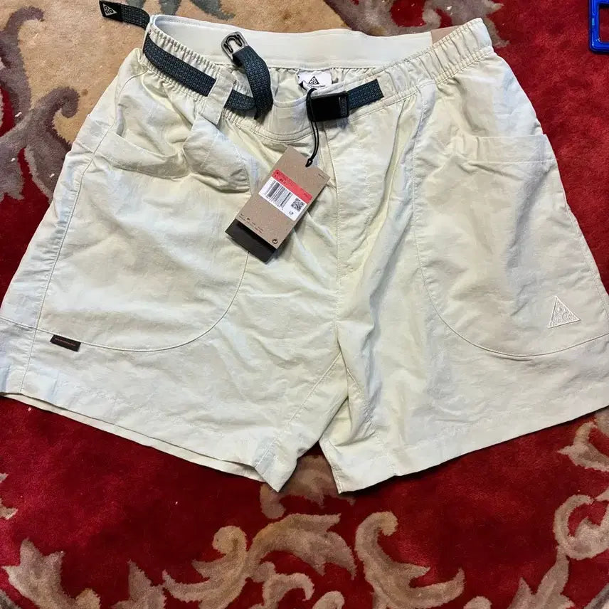 [BUNJANG] Nike ACG Dolomiti Shorts L / 나이키 ACG 돌로미티 쇼츠 L