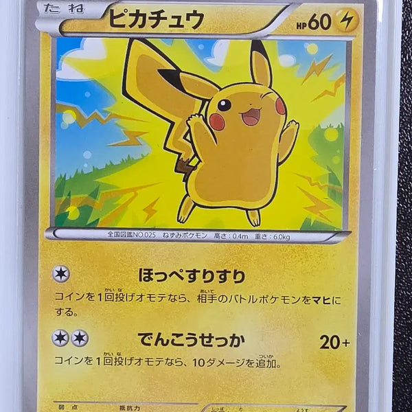 [BUNJANG] Pokemon Card "Volttackle" Pikachu / 포켓몬카드 백만볼트 만세카츄