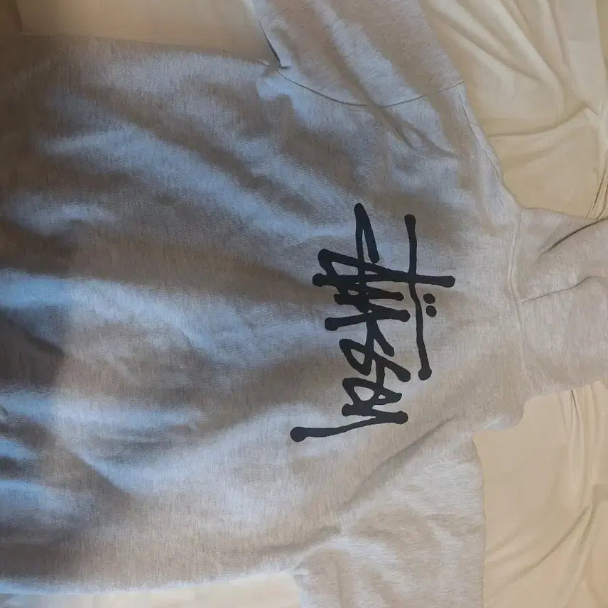 [BUNJANG] Stussy Hoodie / 스투시 후드티