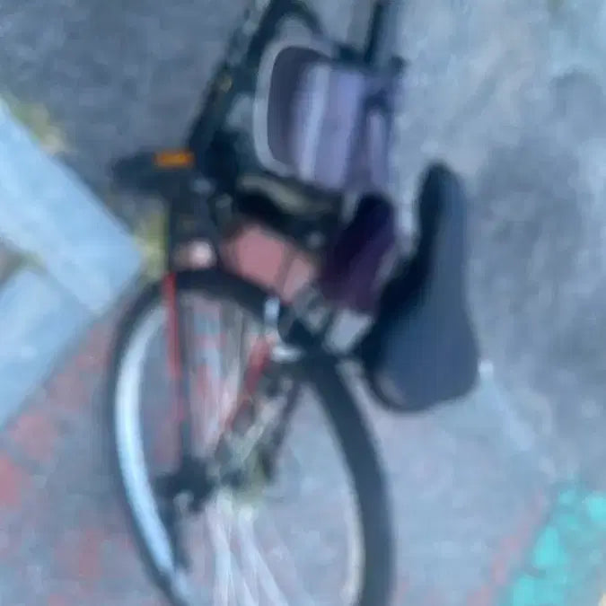 [BUNJANG] Bicycle / 자전거