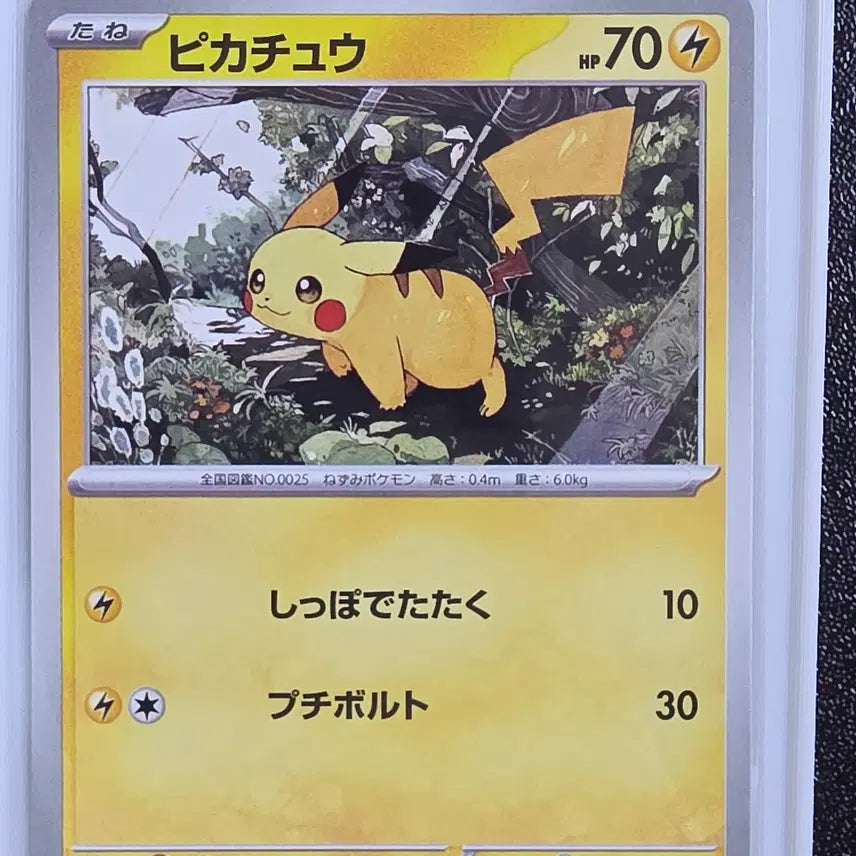 [BUNJANG] Pokemon Card Jungle Pikachu / 포켓몬카드 정글카츄 피카츄