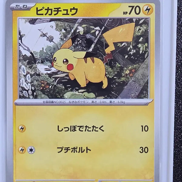 [BUNJANG] Pokemon Card Jungle Pikachu / 포켓몬카드 정글카츄 피카츄