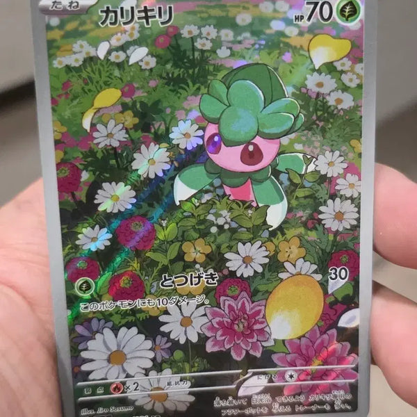 [BUNJANG] Pokemon Card Japanese Charizard AR 082/081 / 포켓몬 카드 일본판 짜랑랑 AR 082/081 A급
