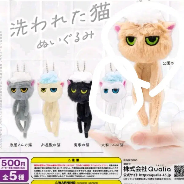 [BUNJANG] Washed Cat Series Gacha Figure / 씻긴 고양이 씻겨져버린 고양이 목욕한 고양이 길들여지지 않는 고양이 냥빨 가챠