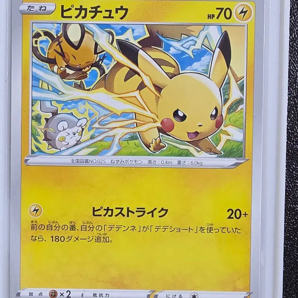[BUNJANG] Pokemon Card Pikachu Electric Trio / 포켓몬카드 피카츄 전기3총사
