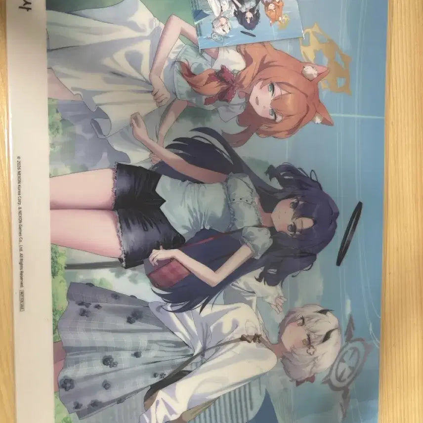 [BUNJANG] Blue Archive Blood Donation Set - Photocard, In-Game Coupon, Poster / 블루아카이브 헌혈세트 포스터 포토카드 쿠폰 양도해요!