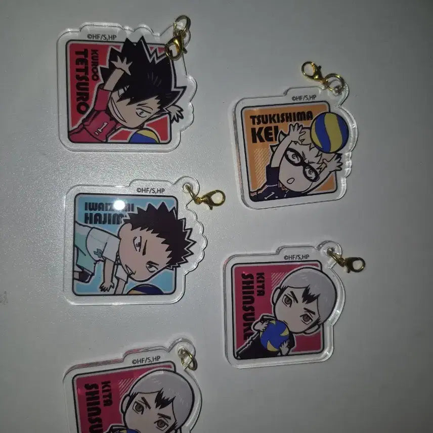 [BUNJANG] Haikyuu!! Daiso Keychains / 하이큐 다이소 키링