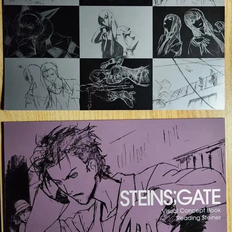 [BUNJANG] Steins;Gate Visual Concept Book, Director's Imageboard Works / [가격 최종 조정]슈타인즈 게이트 비주얼 컨셉북,디렉터스 이미지보드 웍스