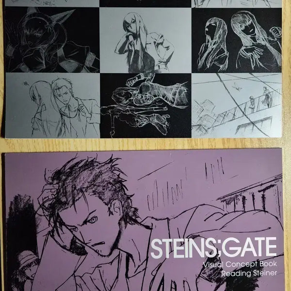 [BUNJANG] Steins;Gate Visual Concept Book, Director's Imageboard Works / [가격 최종 조정]슈타인즈 게이트 비주얼 컨셉북,디렉터스 이미지보드 웍스