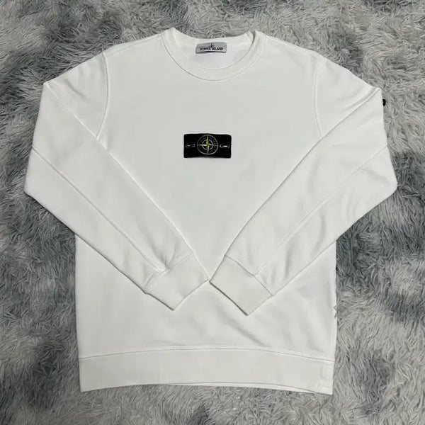 [BUNJANG] Stone Island 22FW Sweatshirt / 스톤아일랜드 맨투맨 22fw 새상품급