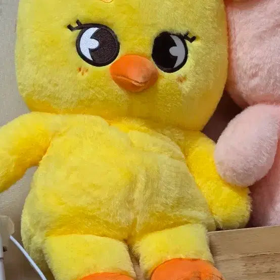 [BUNJANG] SKYZOO Teddy Bear Plush / 스키주 테디베어 뽁아리