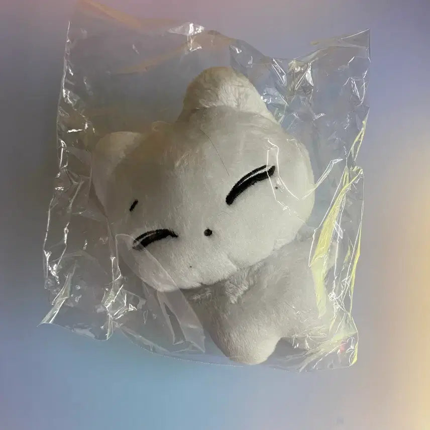 [BUNJANG] ENHYPEN Sunwoo Catdeoni Doll (Sealed) / 미개봉) 엔하이픈 선우 인형 캣떠니