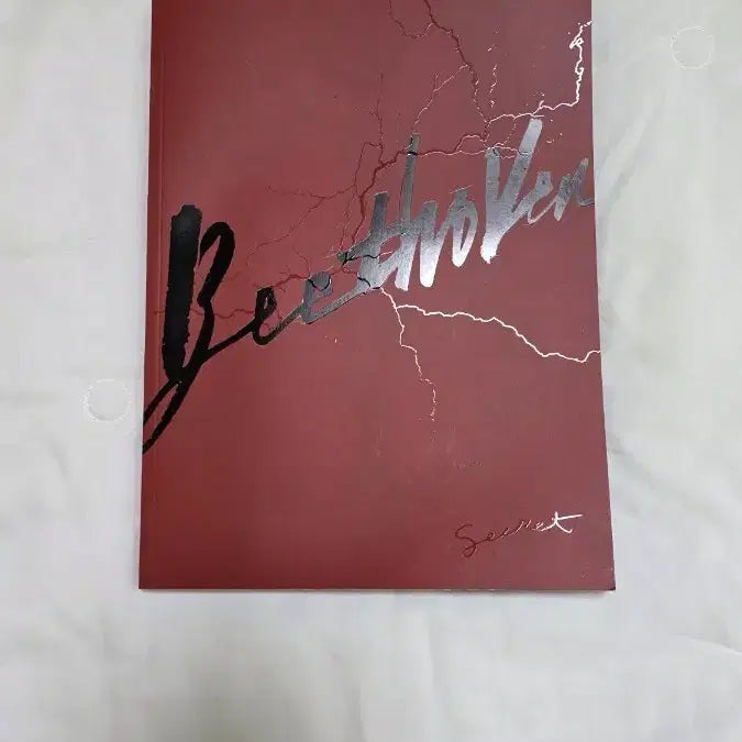 [BUNJANG] Musical Beethoven Special Program Book / 뮤지컬 베토벤 스페셜 프로그램북