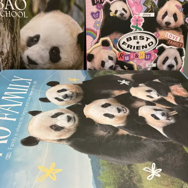 [BUNJANG] FuBao 2024 Season's Greetings Bundle Set (Sealed) / 푸바오 시즌그리팅 미개봉 새제품 3박스 일괄판매