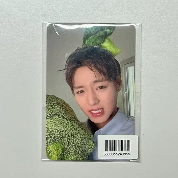 [BUNJANG] FORMENT Park Jihoon Photocard / 포맨트 박지훈 포토카드