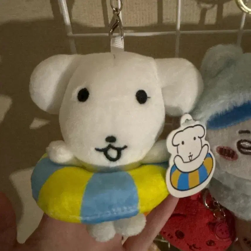 [BUNJANG] Dugganadi Tube Doll Keyring / 듀가나디 튜브 인형 키링