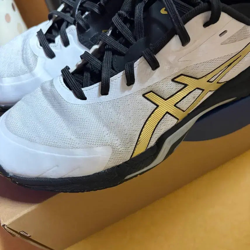 [BUNJANG] ASICS Sky Elite FF 3 / 아식스 브이스위프트FF3