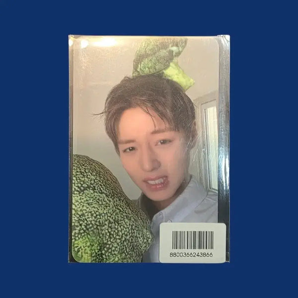 [BUNJANG] Park Jihoon FORMENT Photocard / 박지훈 포맨트 포카 미개봉 새상품