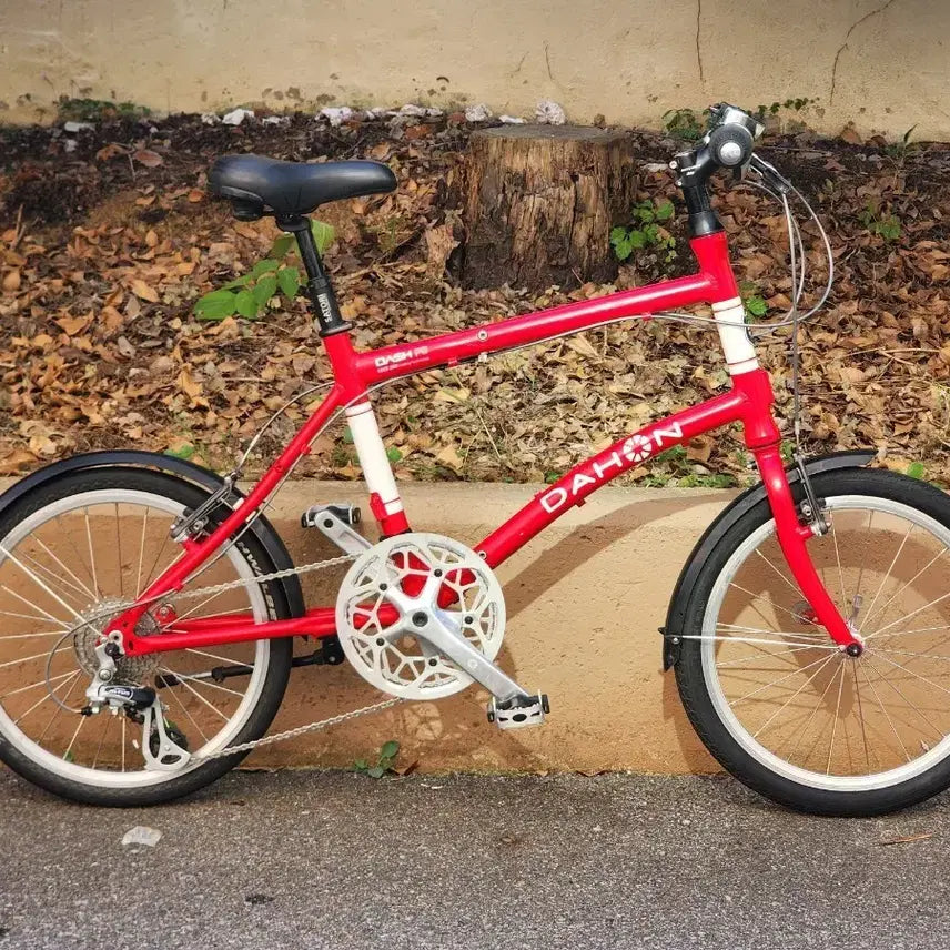 [BUNJANG] Dahon 20 DASH P8 Folding Bicycle / 다혼 20 DASH P8 미니벨로 접이식자전거 팝니다