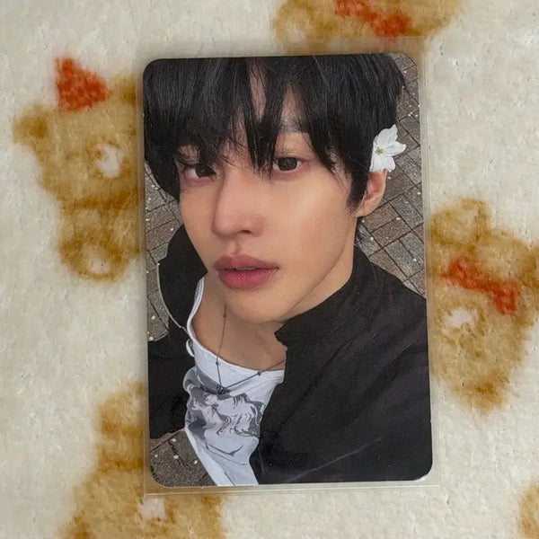 [BUNJANG] RIIZE Wonbin DYD Photobook Photocard A Ver. / 라이즈 원빈 dyd 포토북 앨포 a버전 포카 굿즈 벚꽃