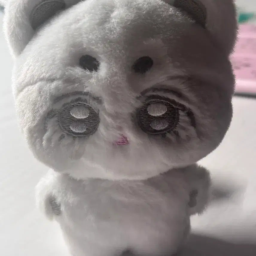 [BUNJANG] Seventeen S.Coups Doll / 에스쿱스 인형 양도