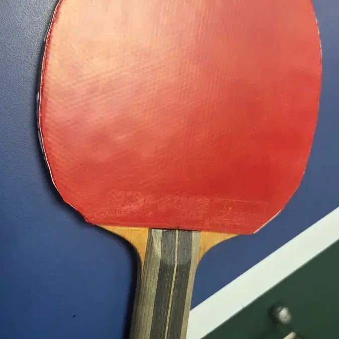 [BUNJANG] Nittaku TNT Carbon Table Tennis Racket / 탁구라켓 탁구채 팝니다