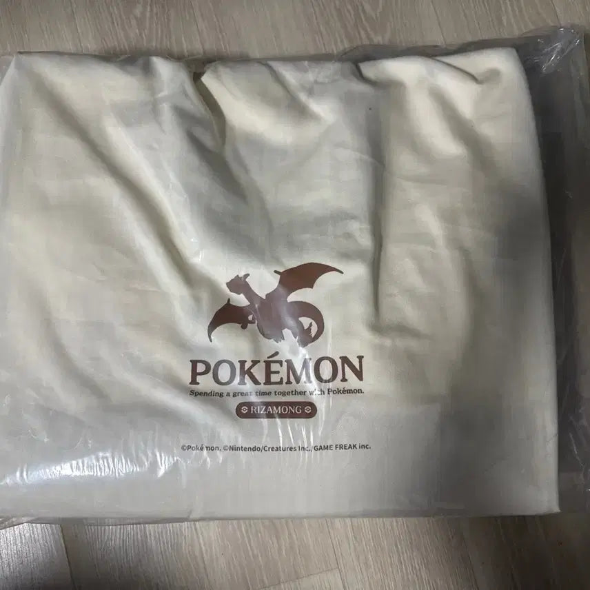 [BUNJANG] Pokemon Store Ladder Canvas Tote Bag / [미개봉] 포켓몬 스토어 래더 캔버스 토트백 새상품