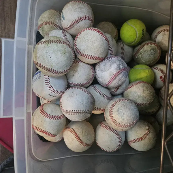 [BUNJANG] Baseball Training Balls (22 count) / 야구공