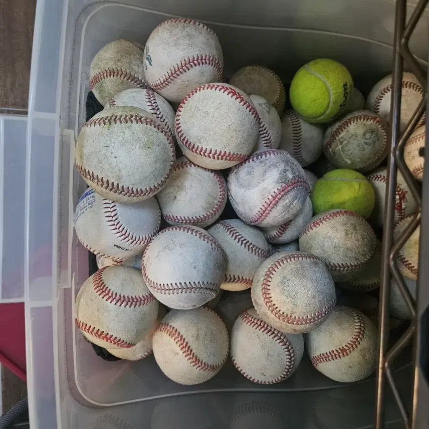 [BUNJANG] Baseball Balls (22 pcs) / 야구공