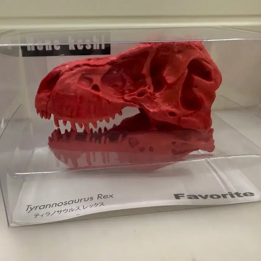 [BUNJANG] Tyrannosaurus Rex Dinosaur Bone Eraser / 티라노사우르스 렉스 공룡 뼈 지우개 알본문구 고전문구 공룡지우개 티라노지우개 뼈지우개 남아선물 피규어 공룡전시모형