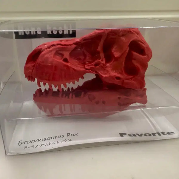 [BUNJANG] Tyrannosaurus Rex Dinosaur Bone Eraser / 티라노사우르스 렉스 공룡 뼈 지우개 알본문구 고전문구 공룡지우개 티라노지우개 뼈지우개 남아선물 피규어 공룡전시모형