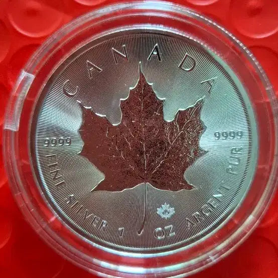 [BUNJANG] Canada Maple Leaf Silver Coin 1 oz / 캐나다 메이풀은화 1온스