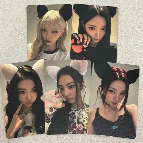 [BUNJANG] Miyyao Music Plant POB Photocard / 미야오 뮤직플랜트 미공포 포토카드