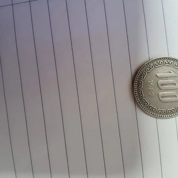 [BUNJANG] 1982 100 Won Coin / 1982년 100원 동전