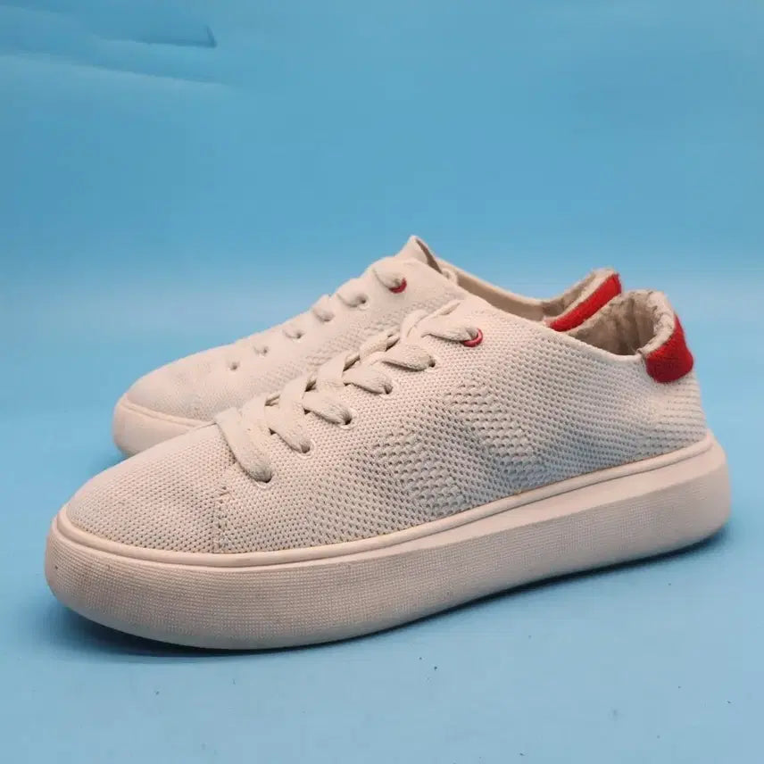 [BUNJANG] Discovery Mesh Sneakers / z디스커버리 매쉬 스니커즈250