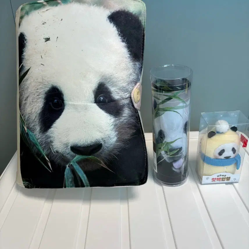 [BUNJANG] Fu Bao First Edition Cushion & Slogan Set / 푸바오 초판굿즈