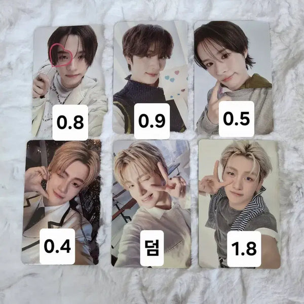 [BUNJANG] TWS Bundle Set Photocards / 투어스 포토카드 일괄판매