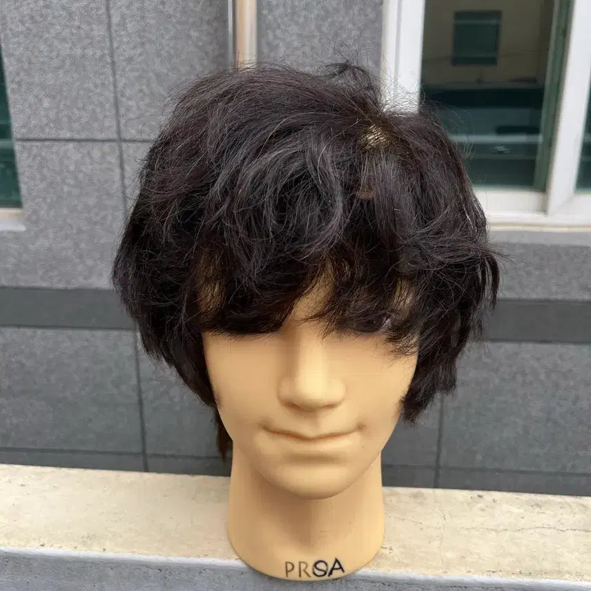 [BUNJANG] PROA Men's Human Hair Wig / 프로아 남성 인모 가발