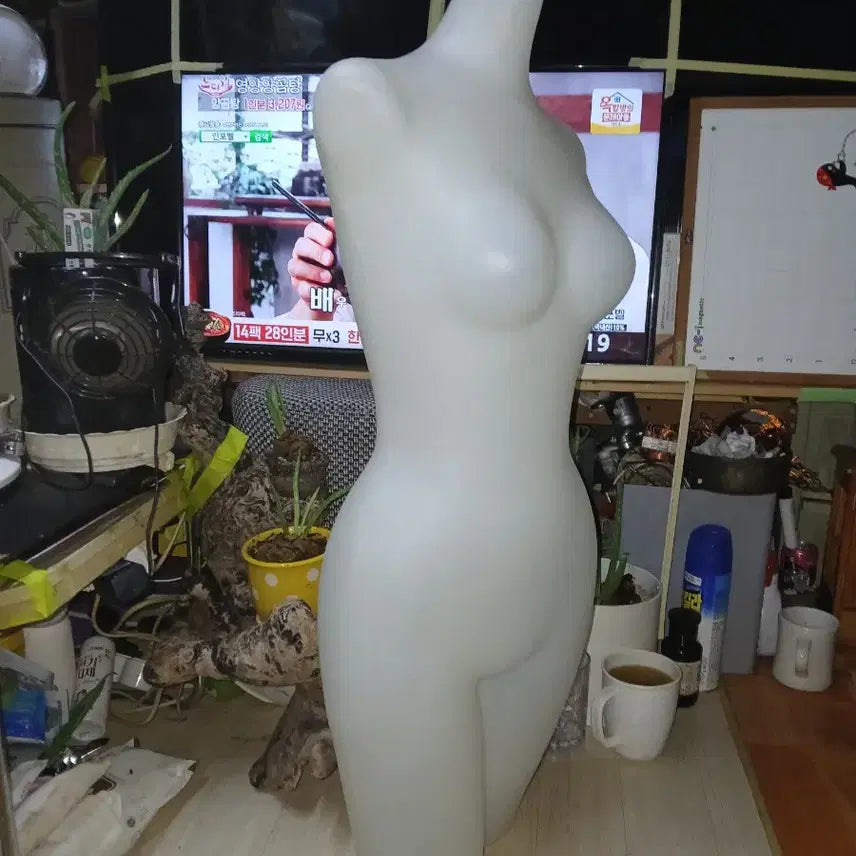[BUNJANG] Female Mannequin - Average Adult Size / 여성 마네킹실제사람평균싸이즈입니다.디피등 다용도
