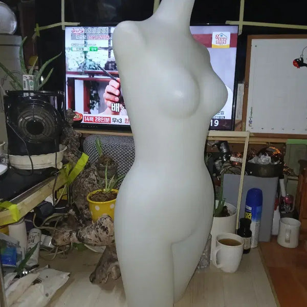 [BUNJANG] Female Mannequin - Average Adult Size / 여성 마네킹실제사람평균싸이즈입니다.디피등 다용도