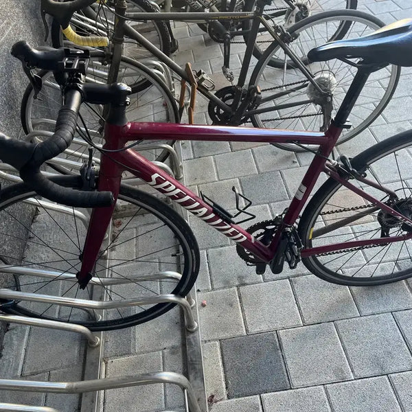 [BUNJANG] Specialized Allez E5 Road Bike / 스페셜라이즈드 로드  알레 e5