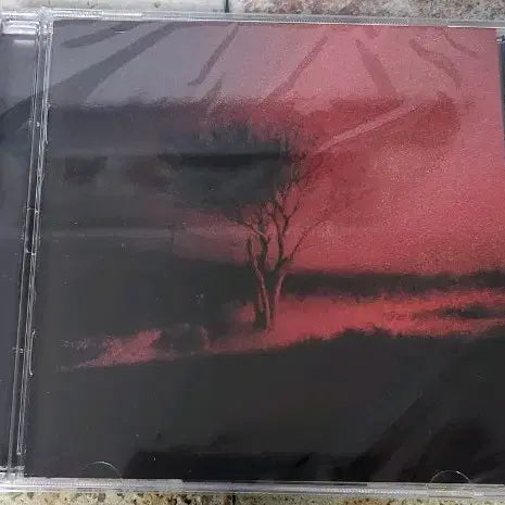 [BUNJANG] Joji Piss In The Wind (Import) (Sealed) / Joji - Piss In The Wind (수입반) (미개봉)