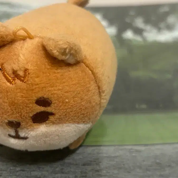 [BUNJANG] DAY6 Petit Merz Case / 데이식스 쁘띠멀즈 케