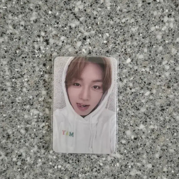 [BUNJANG] Park Jihoon Mamute POB Photocard / 박지훈 마뮤테 미공포 판매 포카