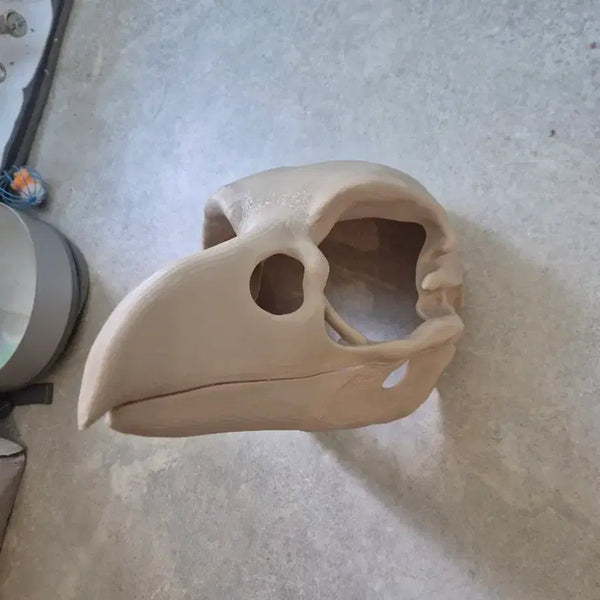 [BUNJANG] Skullbird Fursuit Base / 스컬버드 퍼슈트 베이스