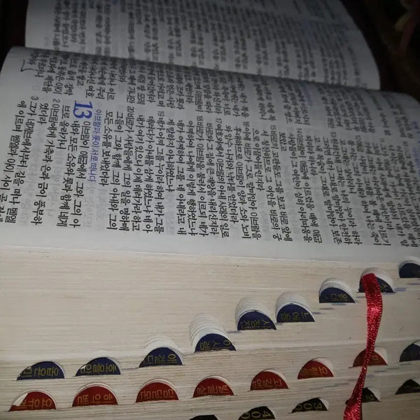 [BUNJANG] Korean Revised Version Bible with Leather Cover / 대한성서공회개역개정성경책 성경 내부새거상태 가죽커버해쓰실분