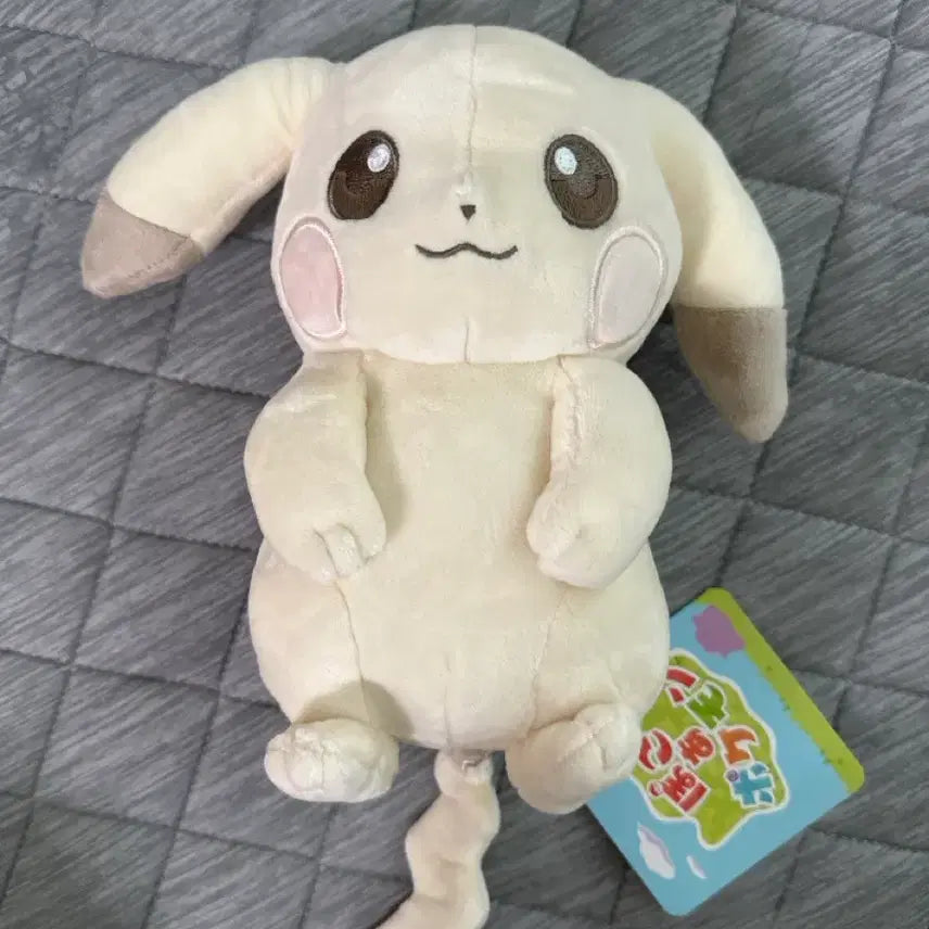 [BUNJANG] Pokemon Pale Pikachu Plush / 포켓몬 창백한 피카츄 창백카츄 인형