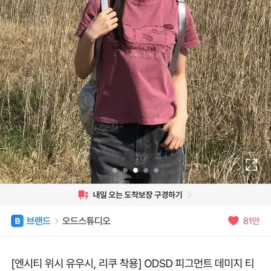 [BUNJANG] ODSD Pigment Damage T-shirt Dusty Pink / 에이블리 오드스튜디오 ODSD 피그먼트 데미지 티셔츠 DUSTY PINK