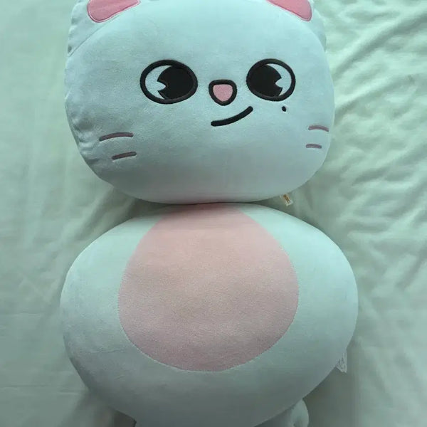[BUNJANG] Stray Kids Hyunjin Jiniret Cushion Set / 스트레이키즈 스키즈 스키주 현진 지니렛 쿠션 세트 양도