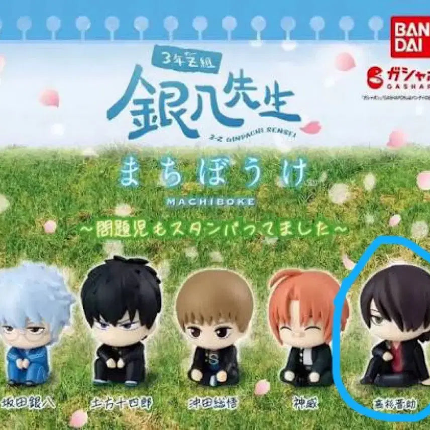 [BUNJANG] Gintama Shinsuke Takasugi Machiboke Sealed / 미개봉) 긴파치센세 타카스기 신스케 마치보케